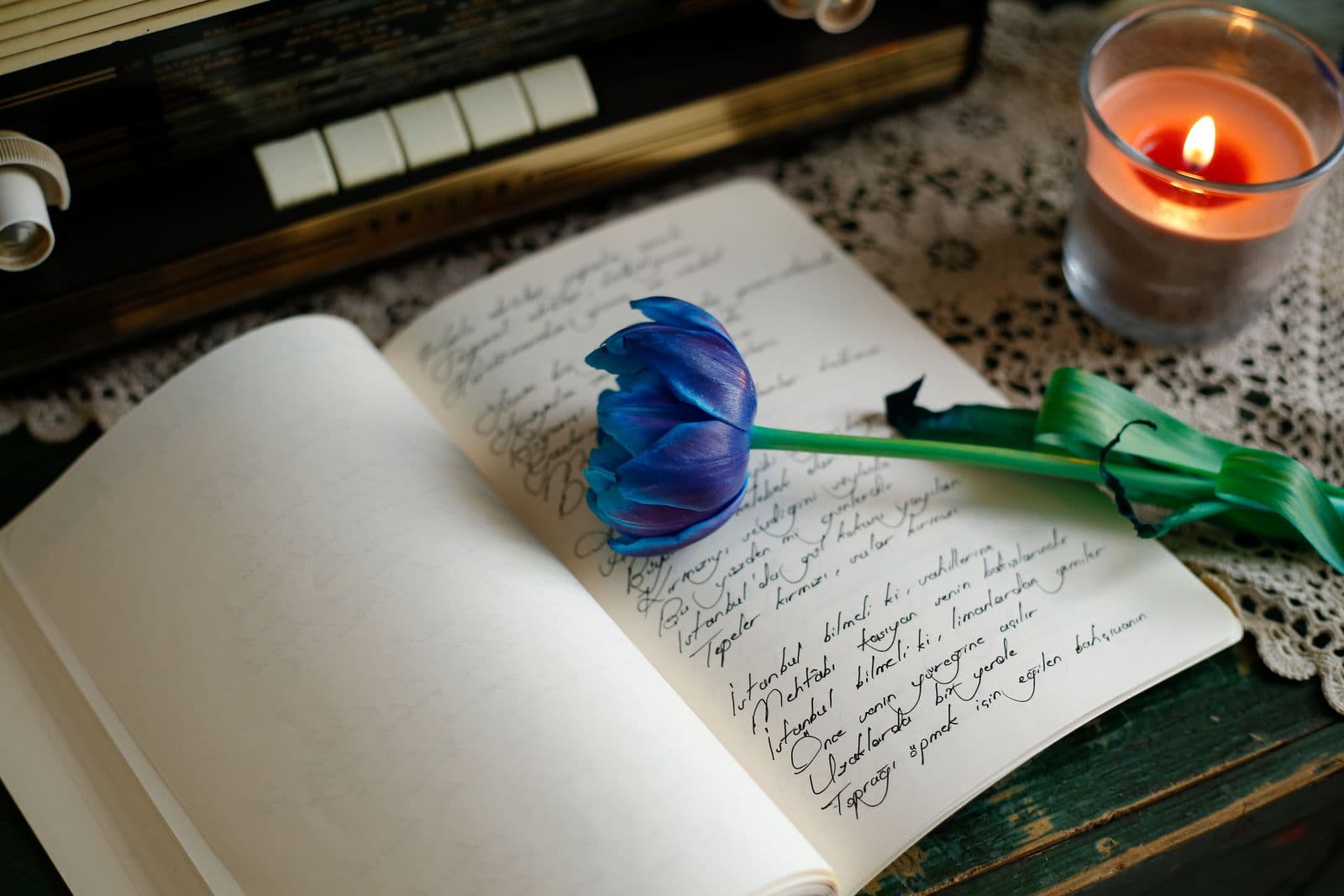 A handwritten journal beside a blue tulip and a candle